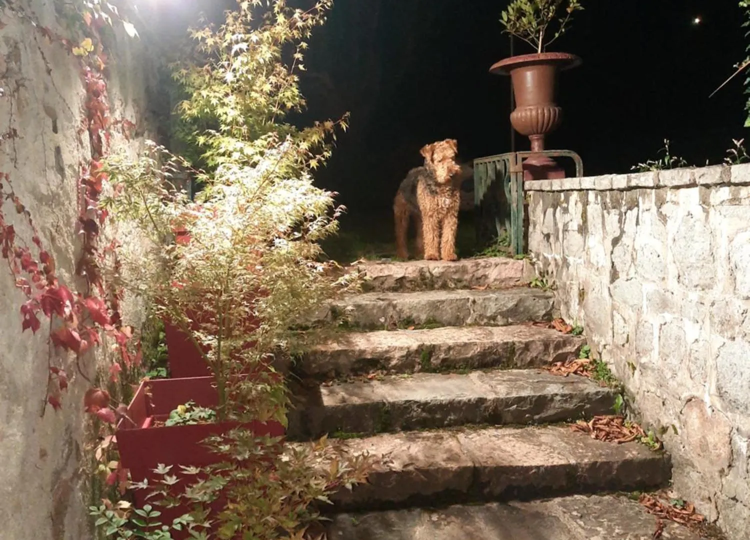 Le Clos des Soyeux Saint-Victor-sur-Rhins Maison d'hôtes
